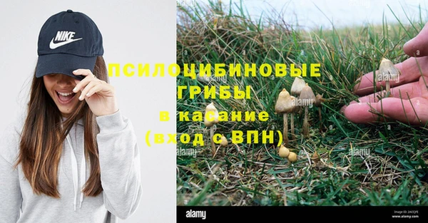 PSILOCYBIN Арсеньев