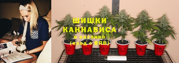 PSILOCYBIN Арсеньев