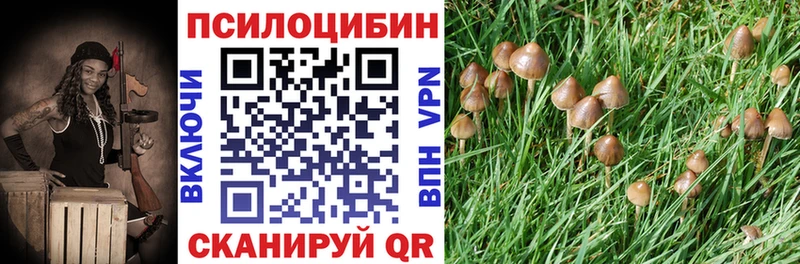 наркота  Чебоксары  Галлюциногенные грибы Cubensis 
